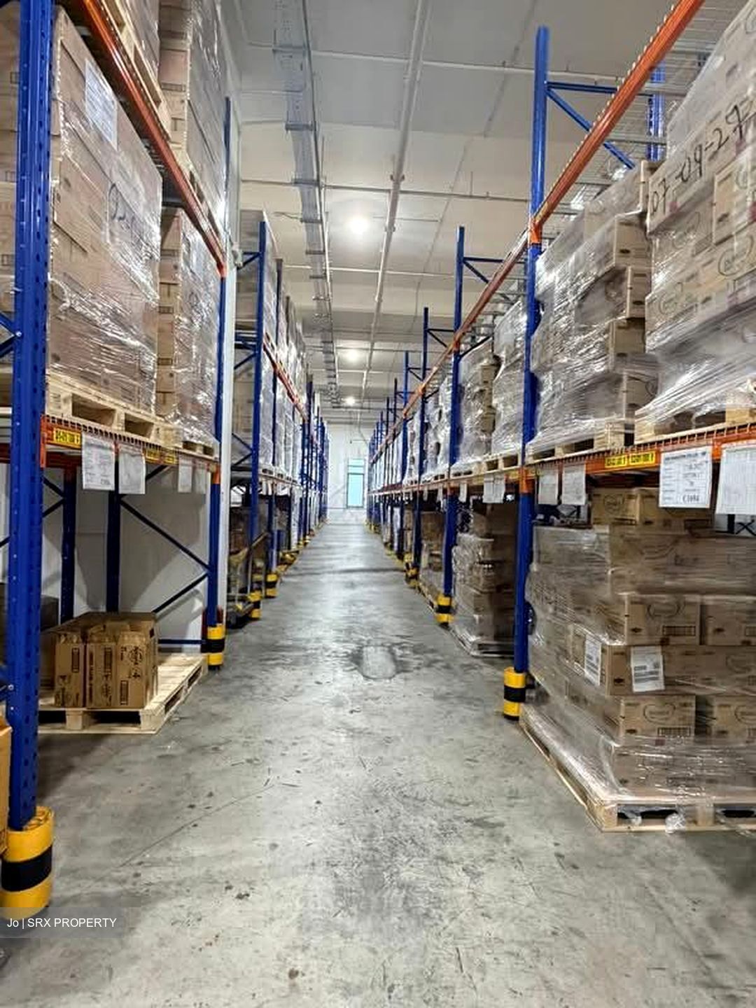 North Spring Bizhub (D27), Factory #549836351